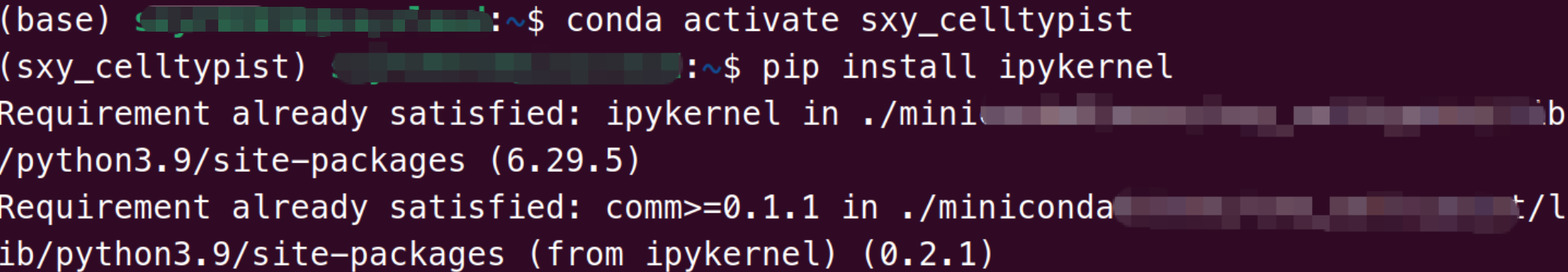 image-20250818211155862