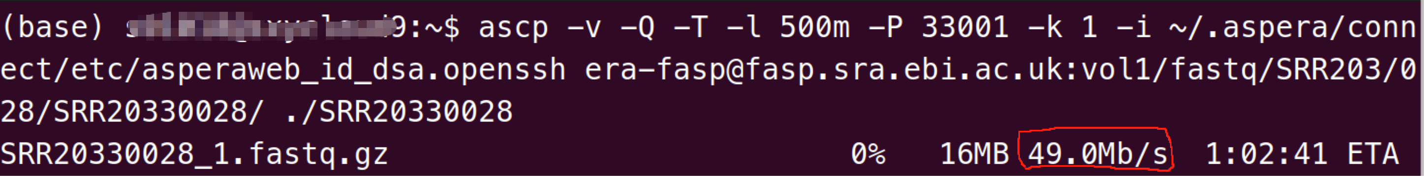 image-20250820191114679