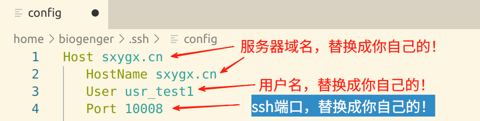 image-20250827153232841