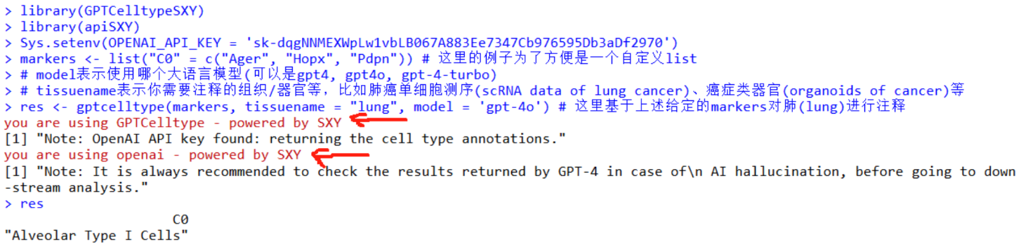 image-20251010105755786