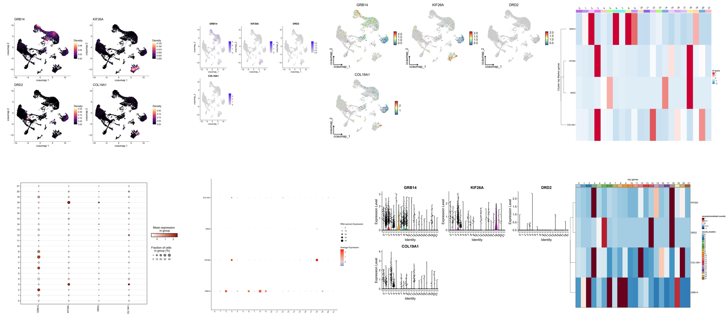 image-20260111140411965